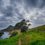 Croisière en yacht en Nouvelle-Zélande pour une belle immersion en nature